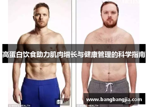 高蛋白饮食助力肌肉增长与健康管理的科学指南